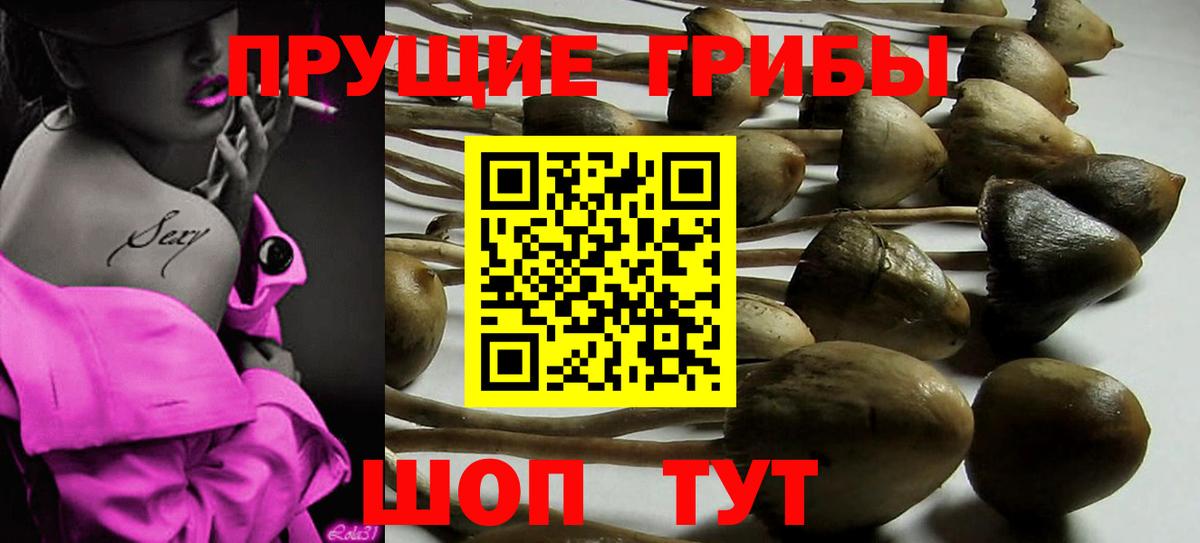 Псилоцибиновые грибы мицелий Советский